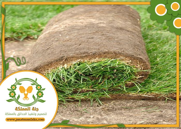 تركيب عشب طبيعي جنوب الرياض