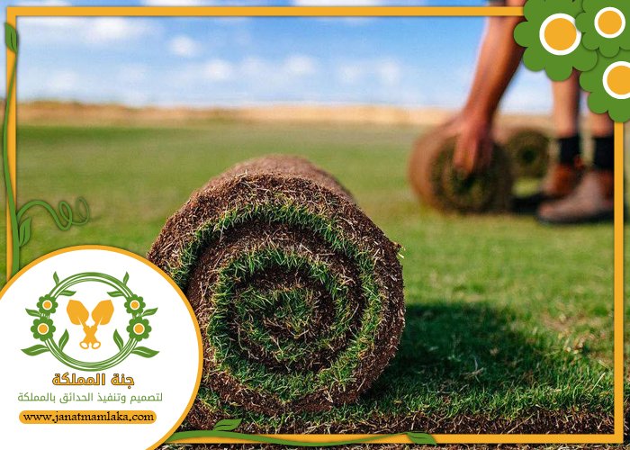 تركيب عشب طبيعي جنوب الرياض