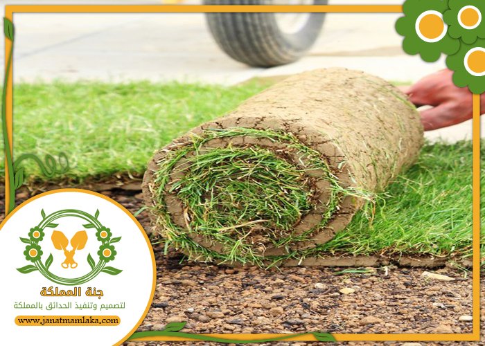 تركيب عشب طبيعي شرق الرياض