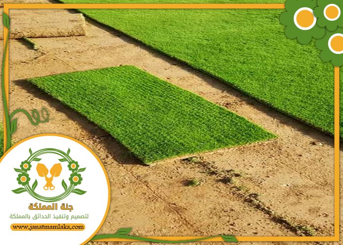 تركيب عشب طبيعي غرب الرياض