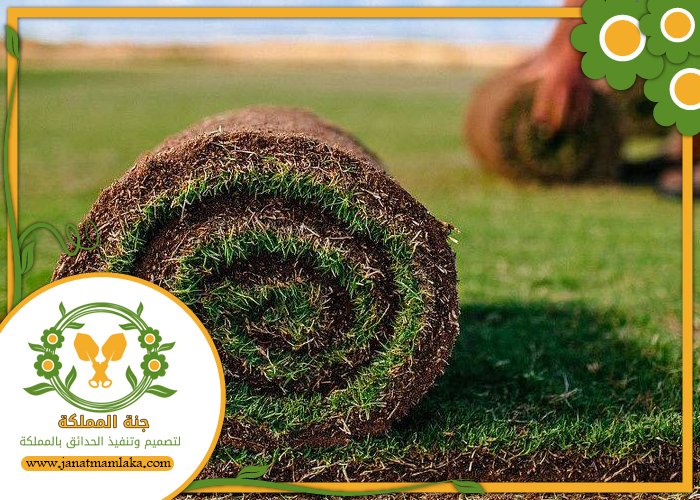 شركة تركيب عشب طبيعي بالرياض