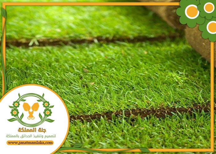 شركة تركيب عشب طبيعي بالرياض